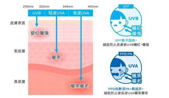 防疫也要防曬！美肌「瑰蜜色防曬」陪你WFH力抗紫外線秒現好氣色