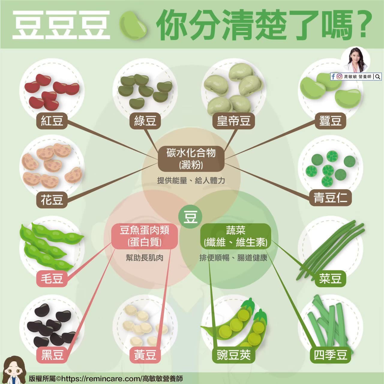 綠豆不是菜！一次搞懂「12種豆豆」分類　減肥必吃款曝光