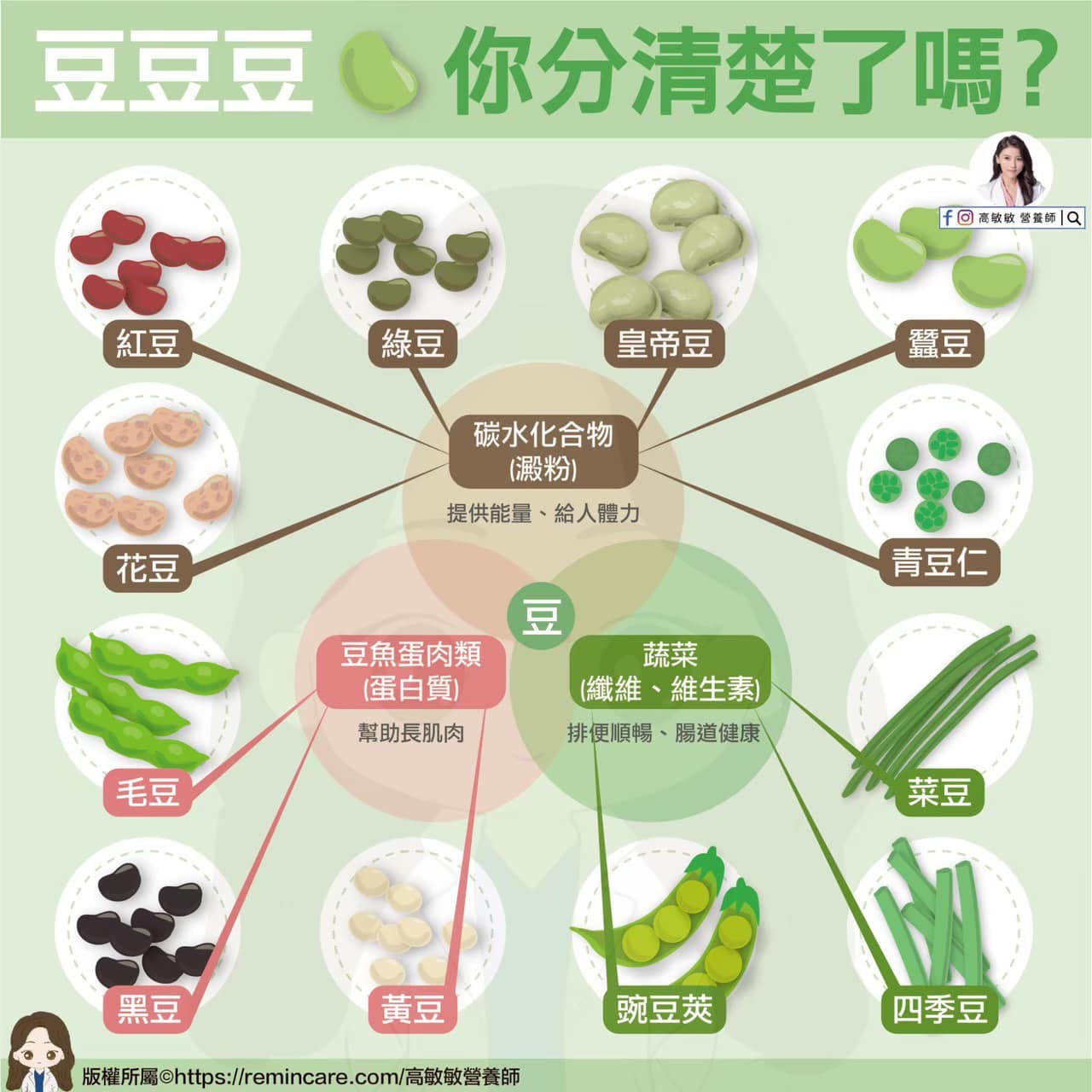 綠豆不是菜!一次搞懂「12種豆豆」分類 減肥必吃款曝光 綠豆不是菜!一次搞懂「12種豆豆」分類 減肥必吃款曝光