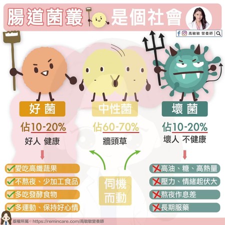 遠離壞菌、打擊牆頭草菌！「4撇步」保持良好腸道社會